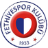 Fethiyespor logo