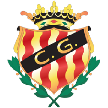 Gimnastic logo