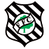 Figueirense logo