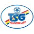 TSG Neustrelitz TSG Neustrelitz logo