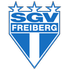 Freiberg logo