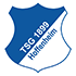 Hoffenheim II logo