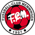 FC Memmingen FC Memmingen logo