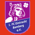 Eintracht Bamberg logo