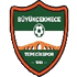 Buyukcekmece Tepecikspor logo