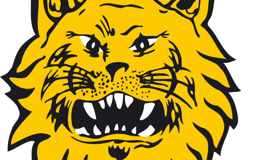 Officielt logo for FC Ilves fra Finland